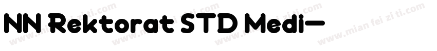 NN Rektorat STD Medi字体转换